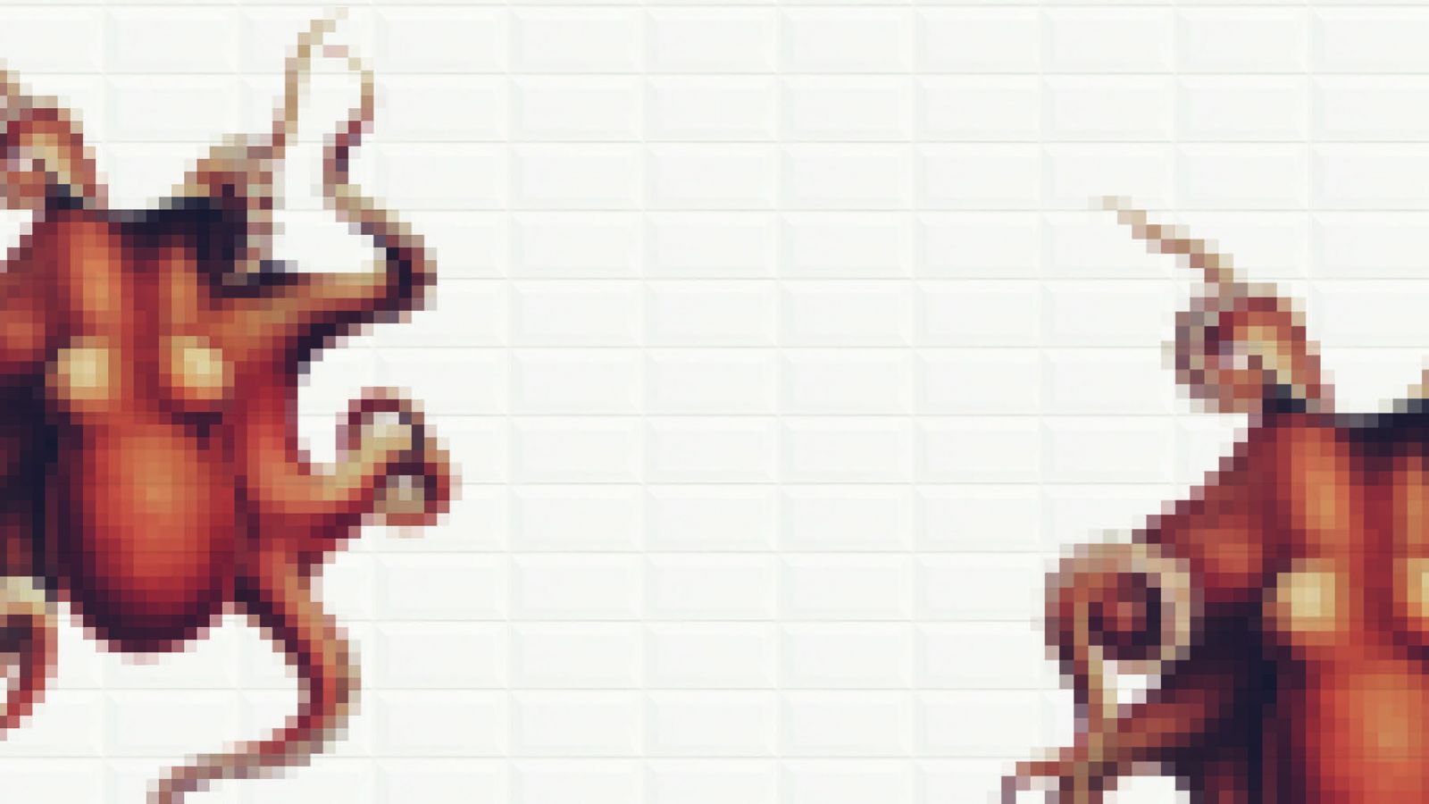 nyce-impressum-header-octopus
