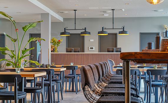 rezeption, many chairs and tables, plants